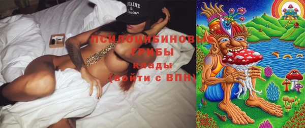 дмт Липки