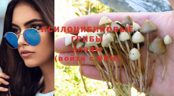 бутират Лабытнанги