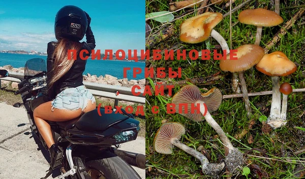 гидра Лиски