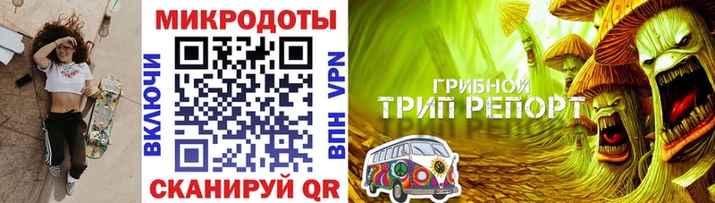 ссылка на мегу как зайти  Сухой Лог  Галлюциногенные грибы GOLDEN TEACHER  наркошоп 