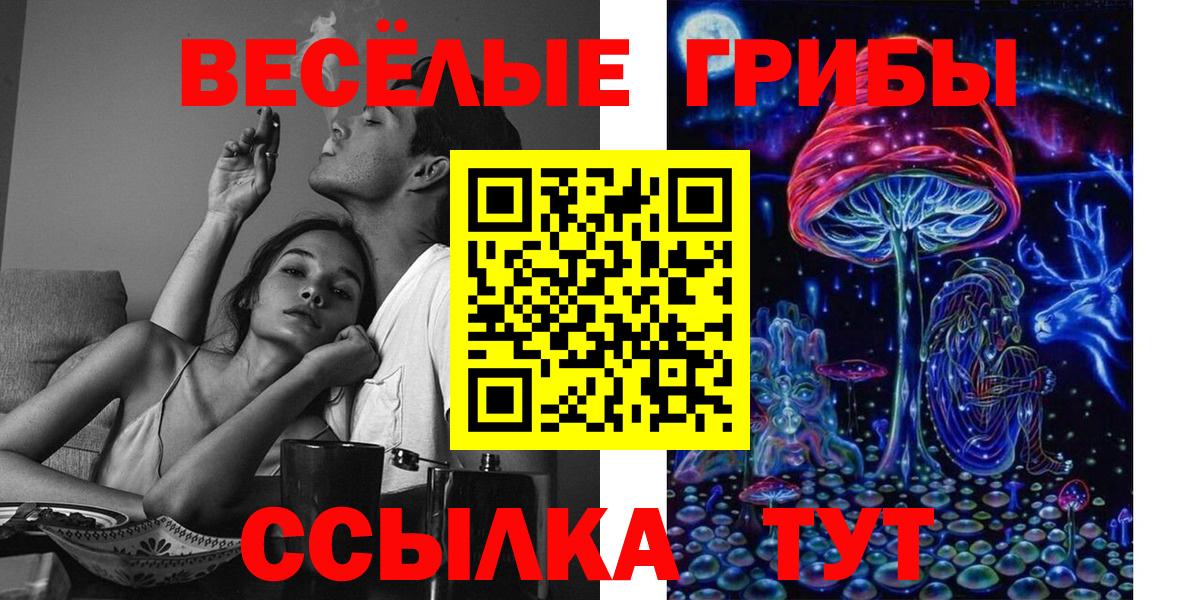Галлюциногенные грибы прущие грибы Сухой Лог