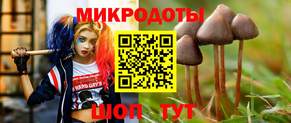 Псилоцибиновые грибы Magic Shrooms  Вход с VPN  Псилоцибиновые грибы Psilocybe  Сухой Лог 